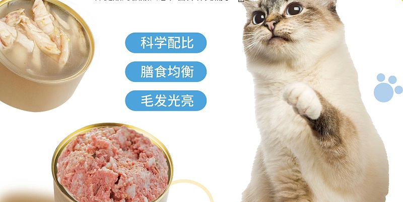 0505宠物食品单页01JPG(1)(1)