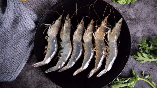 虾类保鲜解决方案